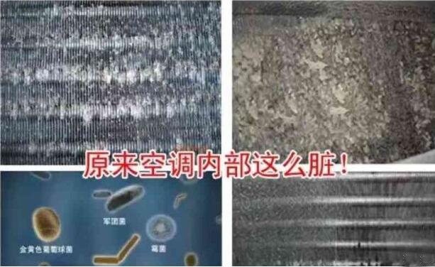 QQ截图20180726165013.jpg